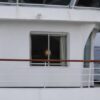 Cruise Ship Carrying Deadly Hantavirus Docks in Canary Islands After Three Passenger Deaths